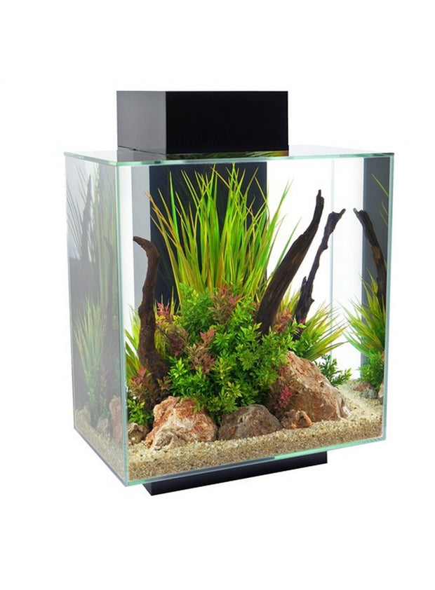 Acquario versione Fluval edge 46 litri