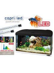 Capri 50 Ferplast LED 40lt aquarium with set-up 